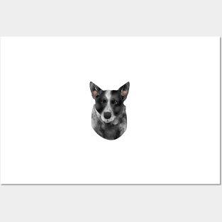 Cattle Dog Posters and Art